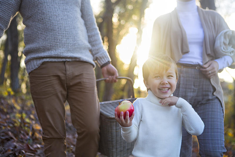 Healthy Family