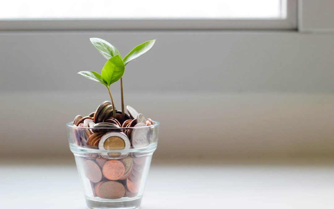 A small, clear glass jar is filled with pennies. A small plant sprout is growing from the pennies.