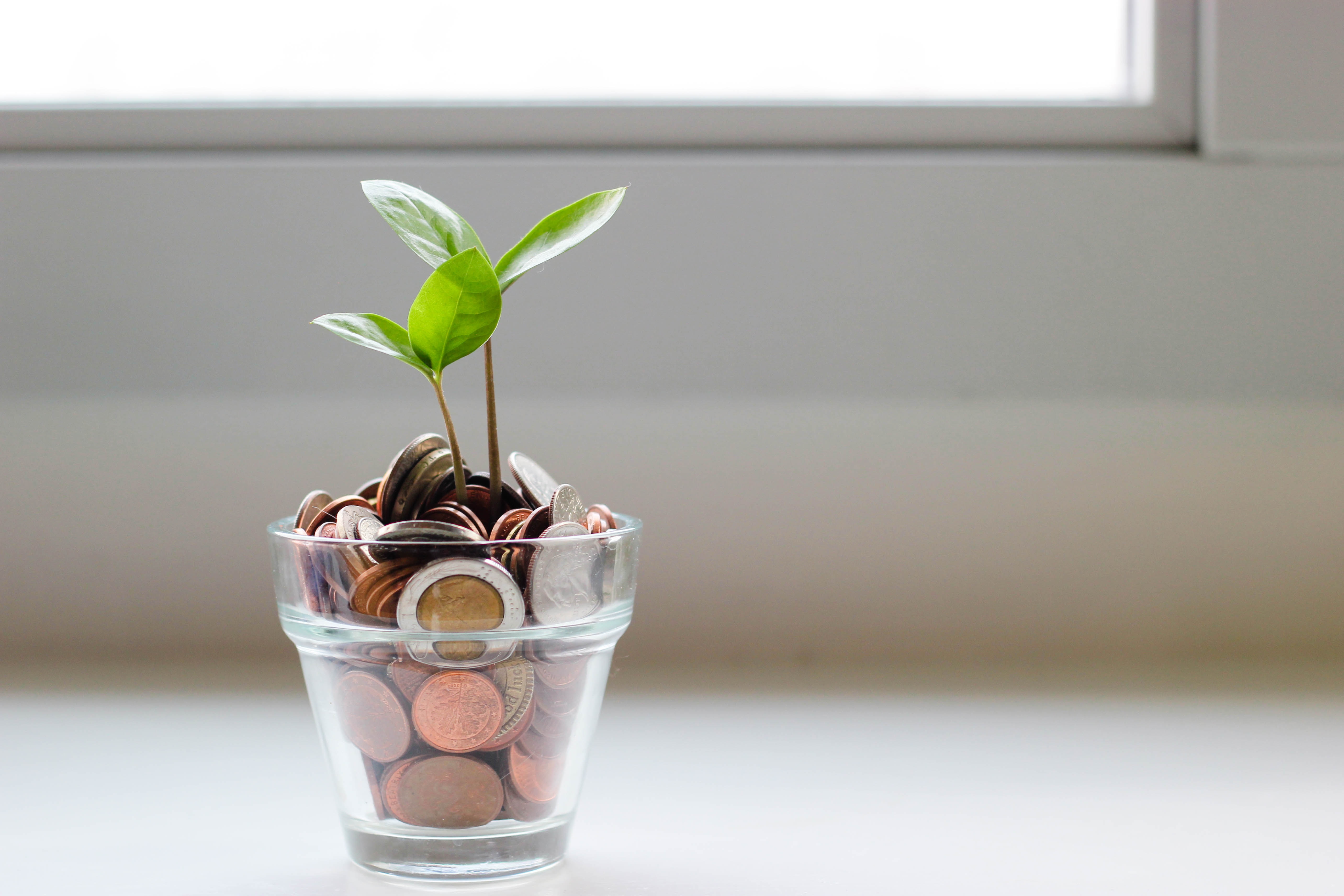 A small, clear glass jar is filled with pennies. A small plant sprout is growing from the pennies.