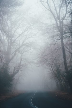 Brain Fog: Are You Feeling Like A Zombie?