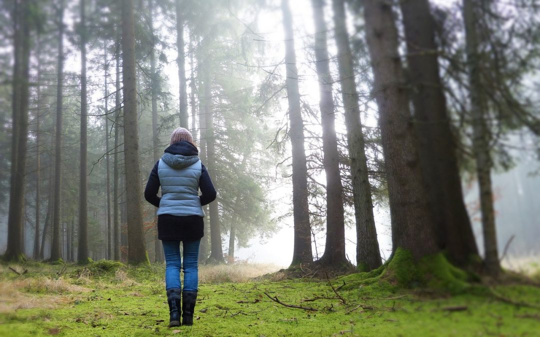 A woman pauses to face trees and fog with her back to the camera.